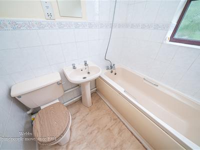 Picture 27